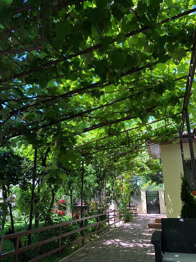 Casa Lui Mamaia Ξενοδοχείο Κονστάντζα Εξωτερικό φωτογραφία